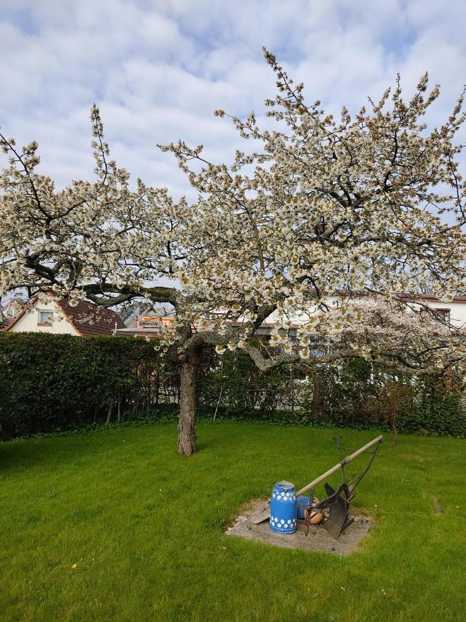Ferienwohnung Ostseestrandlaeufer 2 青斯特 外观 照片